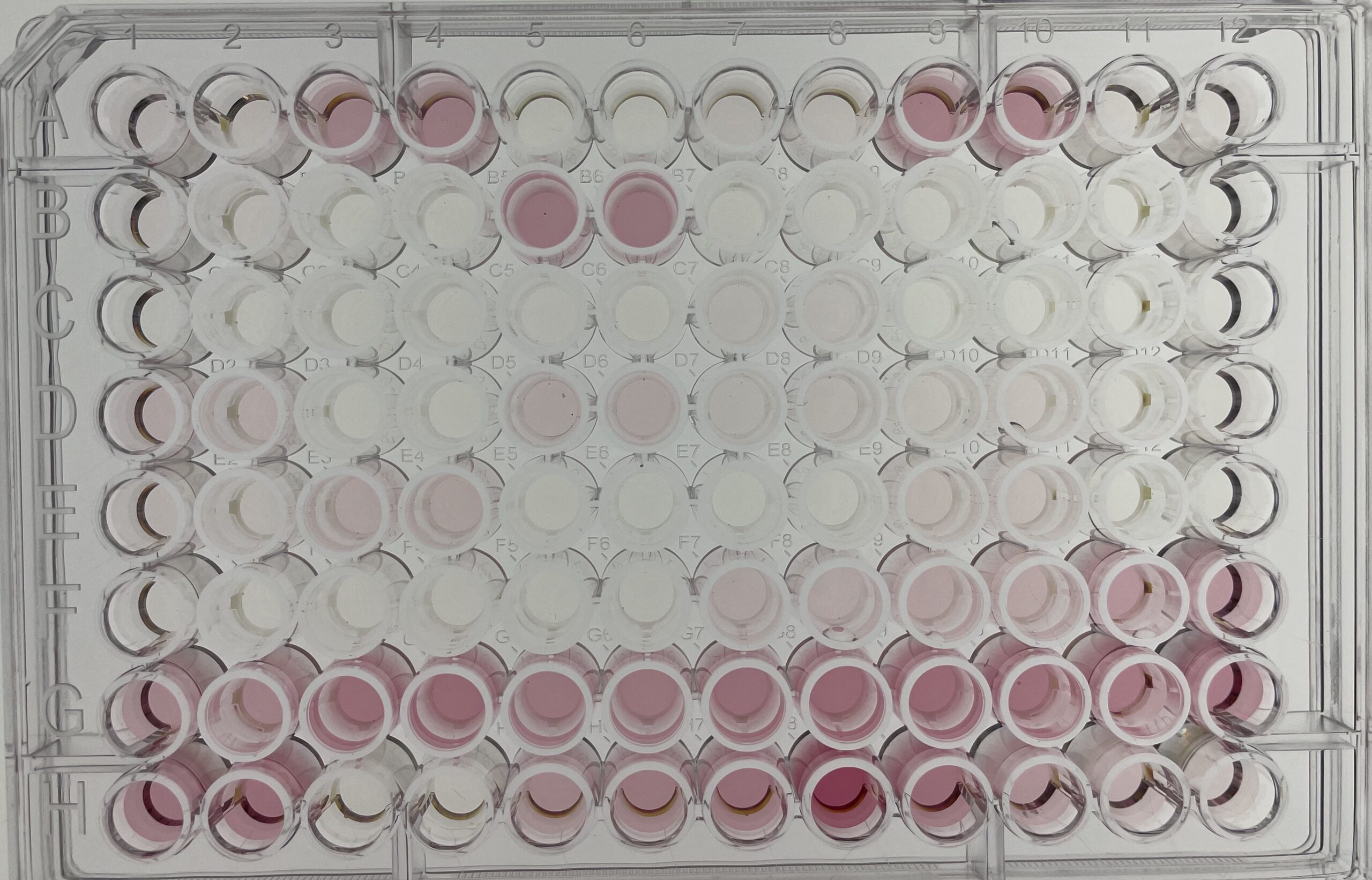 Lactase Case Study