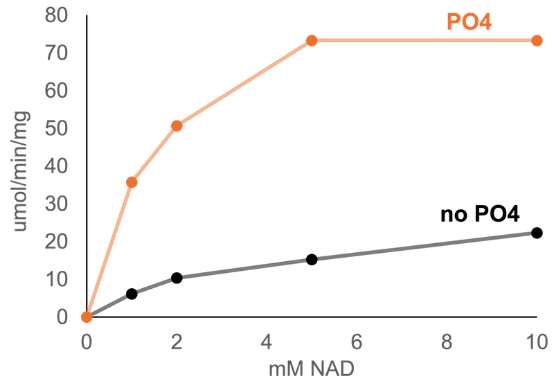 Glucose-6-phosphate Dehydrogenase characterization